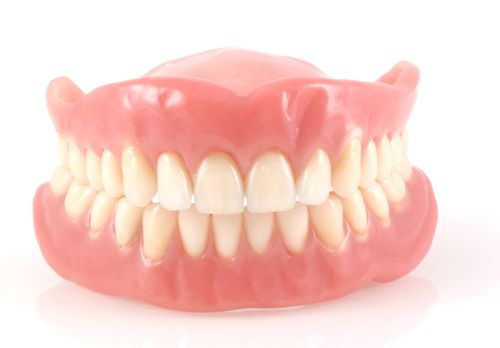 Mô hình giải phẫu hàm răng người  Thiết Bị Y Tế Đại Việt