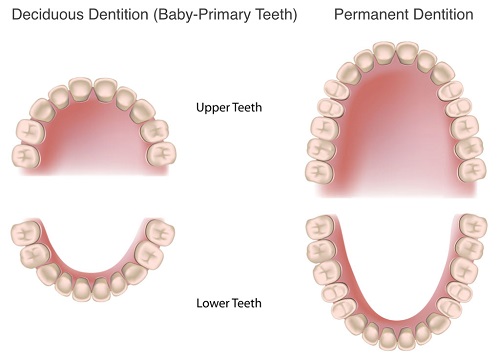 Mọc 4 cái răng khôn cùng lúc - Ảnh hưởng sức khỏe không? 1